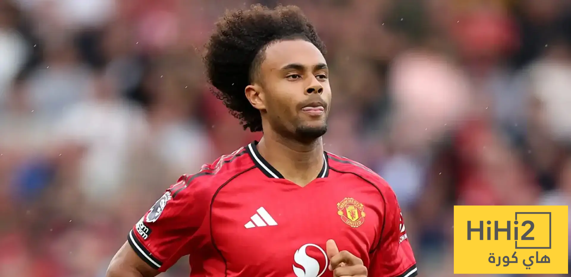 كل ما قدمه زيركزي أمام إيفرتون